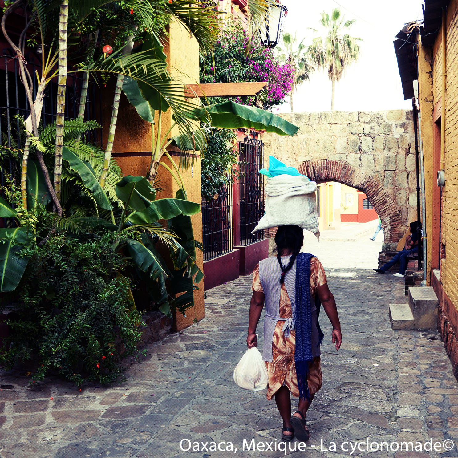 Mexique à vélo : de Mazatlan à Oaxaca