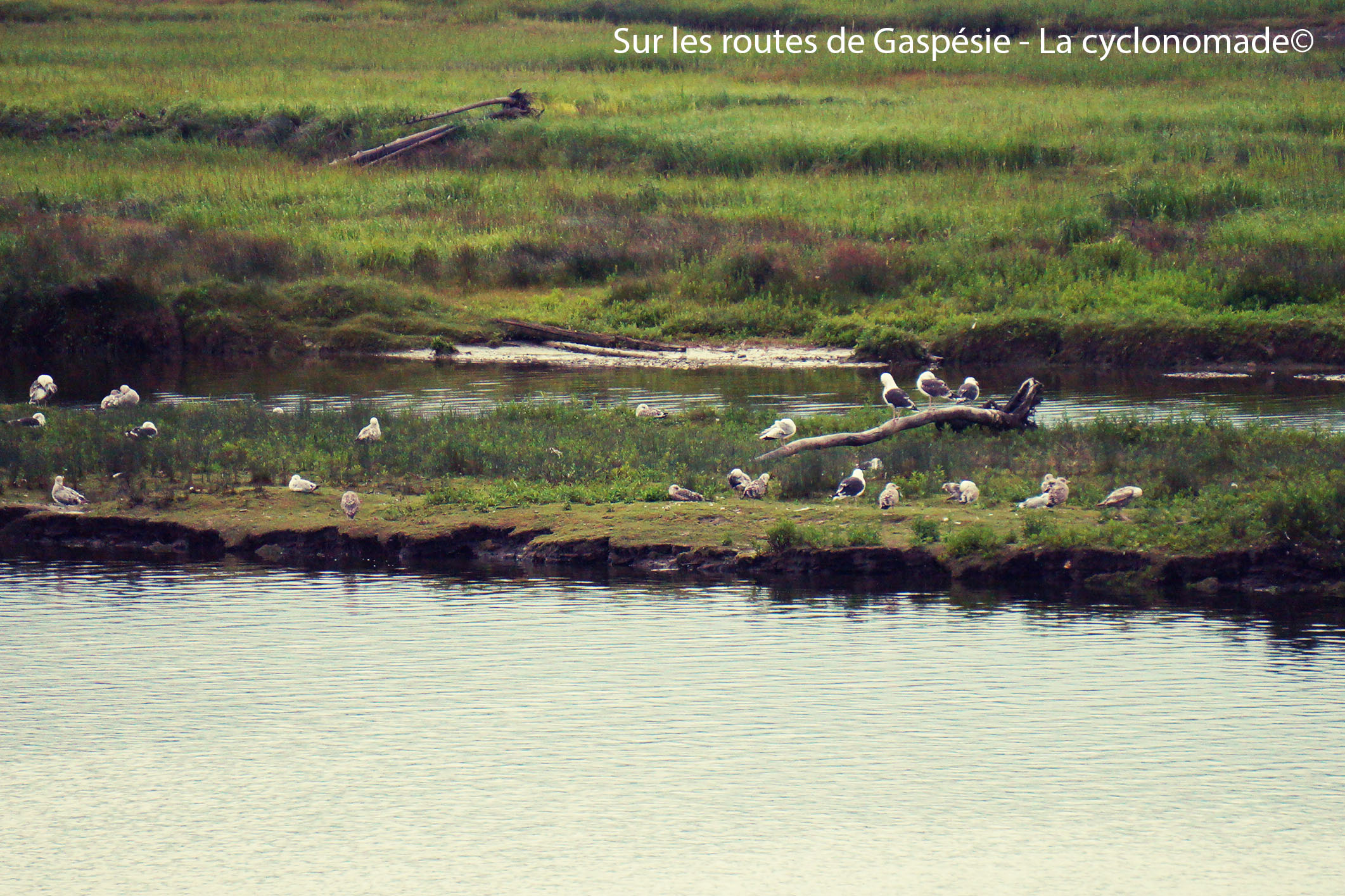 Paysages de Gaspésie