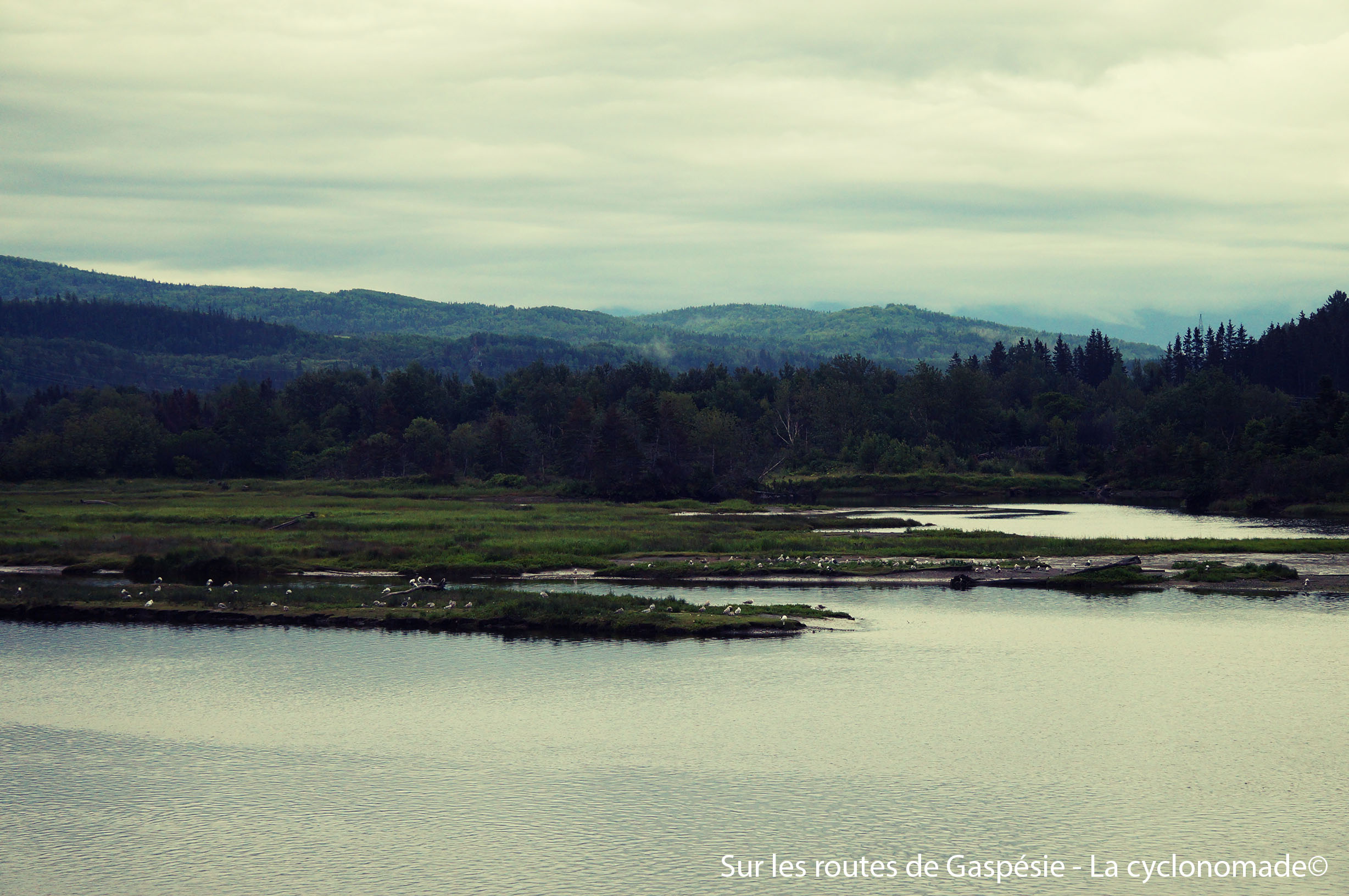 Paysages de Gaspésie