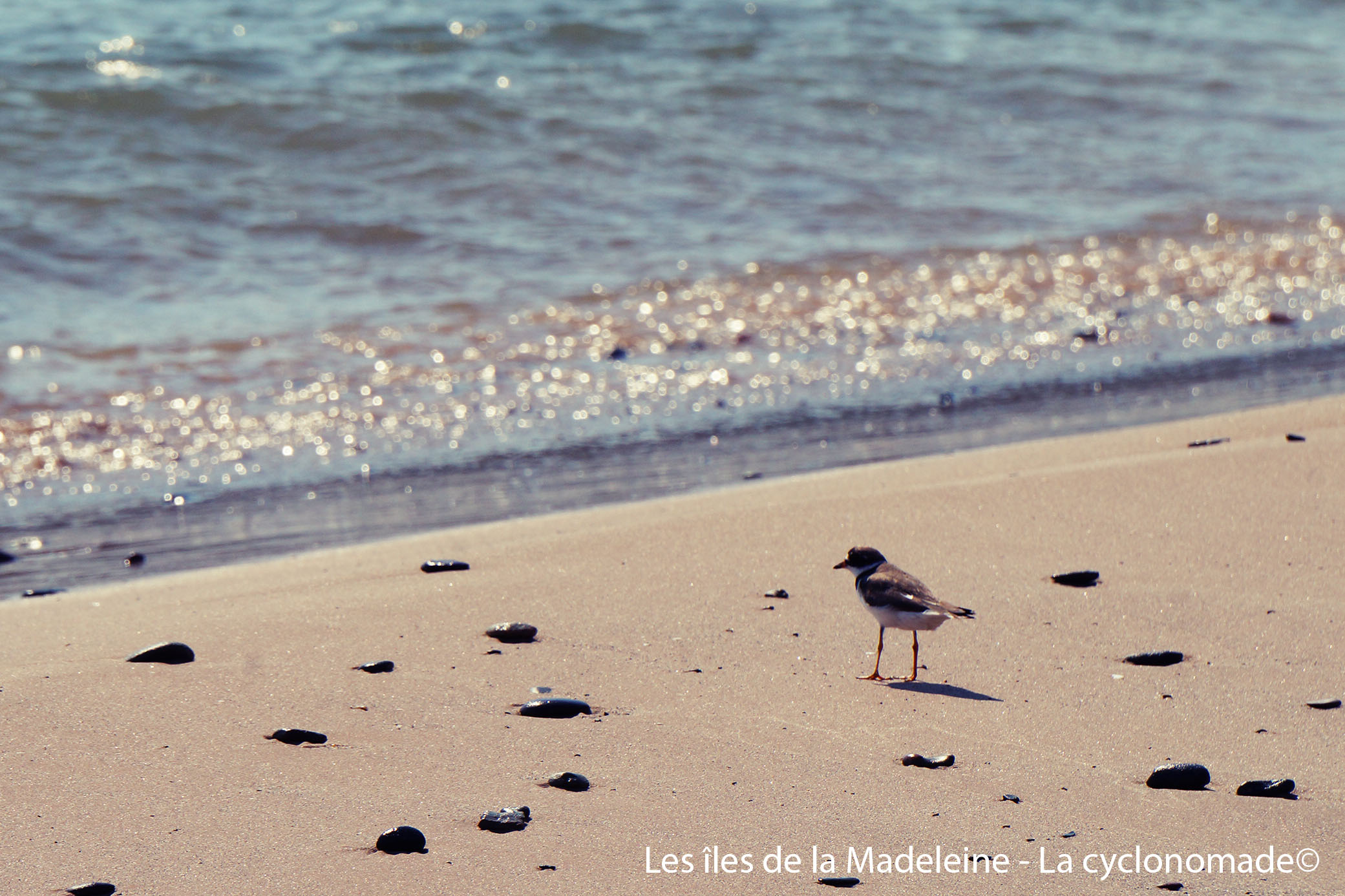 Sur la plage