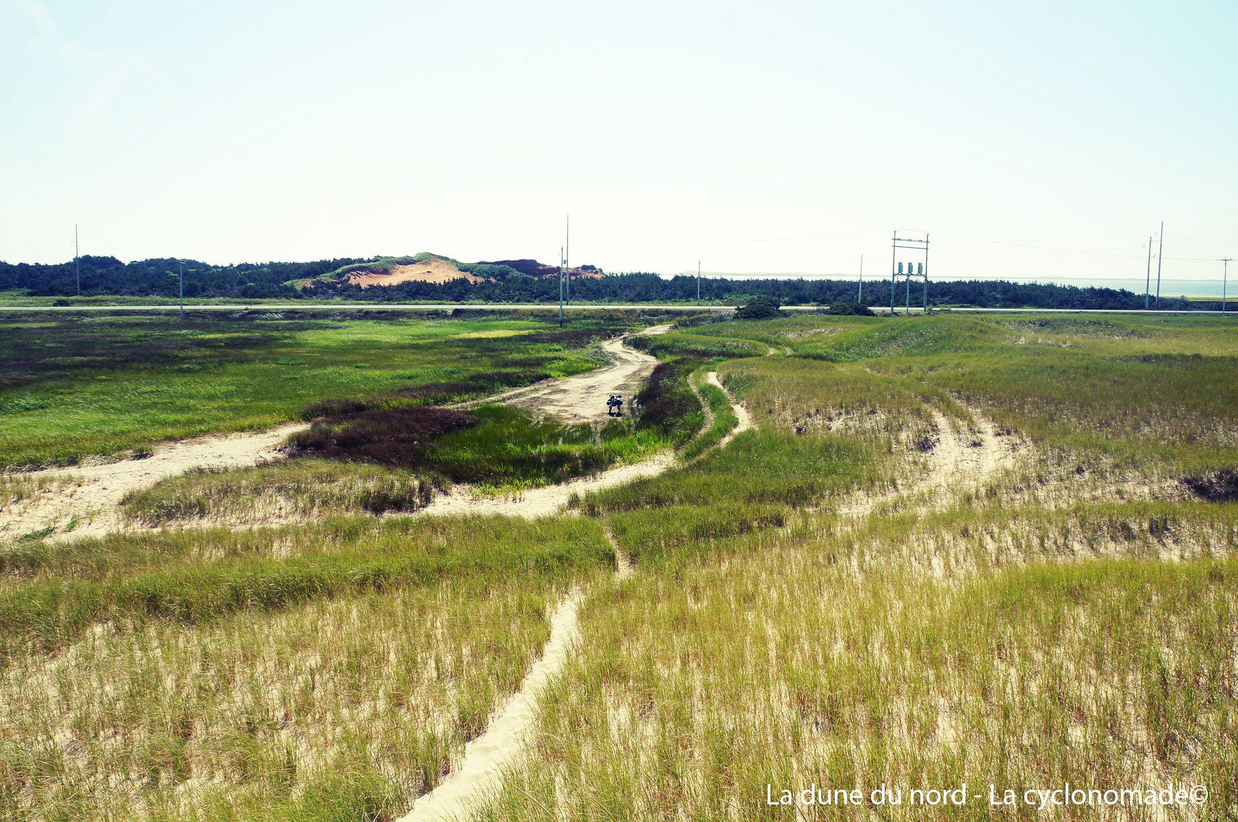 Paysages de la dune du nord