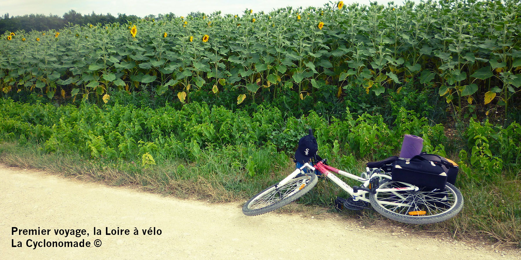 Introduction : Comment j’ai pédalé le long de la Loire à vélo par hasard