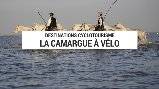 camargue à vélo - cyclotourisme camargue - cyclotourisme france - blog cyclotourisme - blogue cyclotourisme - blog voyage vélo - blogue voyage vélo - cyclotourisme