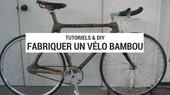 Fabriquer son vélo en bambou c’est possible !