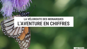 véloroute des monarques - chiffres clés - voyage écologique - cyclotourisme - la cclonomade